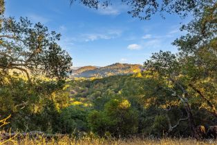 Single Family Residence,  Singing Hills trail, Santa Rosa, CA 95404 - 76