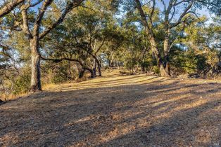 Single Family Residence,  Singing Hills trail, Santa Rosa, CA 95404 - 74