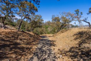 Residential Acreage,  Bennett Ridge road, Santa Rosa, CA 95404 - 3