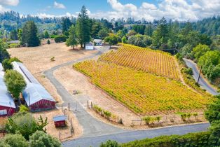 Single Family Residence,  Burnside road, Sebastopol, CA 95472 - 79