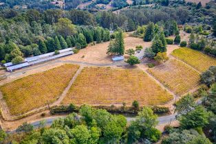 Single Family Residence,  Burnside road, Sebastopol, CA 95472 - 77