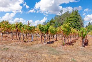 Single Family Residence,  Burnside road, Sebastopol, CA 95472 - 51