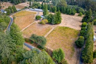 Single Family Residence,  Burnside road, Sebastopol, CA 95472 - 2