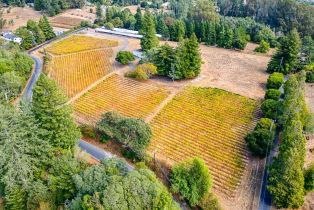 Single Family Residence,  Burnside road, Sebastopol, CA 95472 - 75