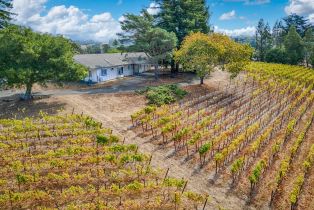 Single Family Residence,  Burnside road, Sebastopol, CA 95472 - 85