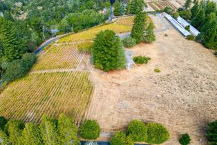 Single Family Residence,  Burnside road, Sebastopol, CA 95472 - 73