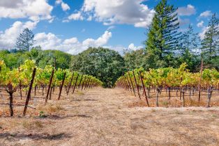 Single Family Residence,  Burnside road, Sebastopol, CA 95472 - 43