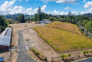 Single Family Residence,  Burnside road, Sebastopol, CA 95472 - 61