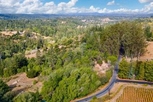 Single Family Residence,  Burnside road, Sebastopol, CA 95472 - 65