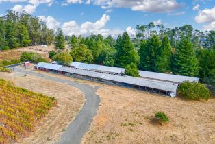 Single Family Residence,  Burnside road, Sebastopol, CA 95472 - 78