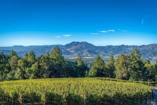 Single Family Residence,  Diamond Mountain road, Calistoga, CA 94515 - 52