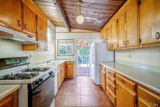 Single Family Residence,  Park avenue, Russian River, CA 95436 - 7