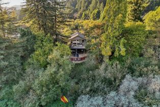 Single Family Residence, 22585 Sylvan Way, Russian River, CA  Russian River, CA 95462