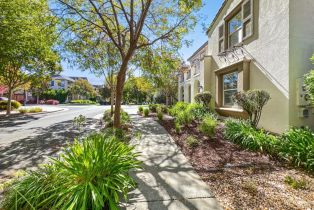 Single Family Residence,  Nectarine drive, Santa Rosa, CA 95404 - 38