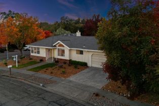 Single Family Residence,  Greenmeadow court, Santa Rosa, CA 95409 - 17