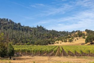 Single Family Residence,  Bennett lane, Calistoga, CA 94515 - 28