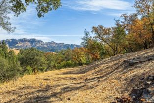 Single Family Residence,  Bennett lane, Calistoga, CA 94515 - 25