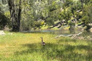 Single Family Residence, Bennett lane, Calistoga, CA 94515 - 9