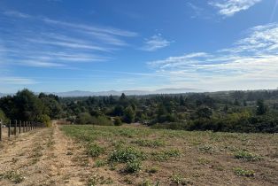 Residential Acreage, 942 Ferguson road, Sebastopol, CA 95472 - 2