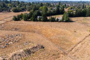 Agriculture,  Gravenstein highway, Sebastopol, CA 95472 - 2