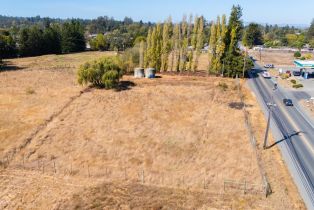 Agriculture,  Gravenstein highway, Sebastopol, CA 95472 - 3