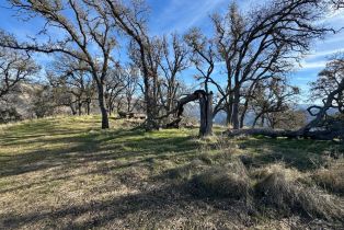 Agriculture,  State 128 highway, Napa, CA 94558 - 10