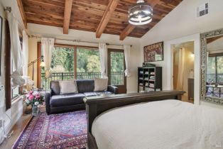 Single Family Residence,  Redwood drive, Russian River, CA 95462 - 20