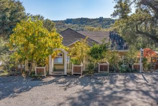 Single Family Residence,  Buena Vista avenue, Healdsburg, CA 95448 - 2