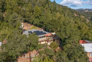 Single Family Residence,  Buena Vista avenue, Healdsburg, CA 95448 - 52