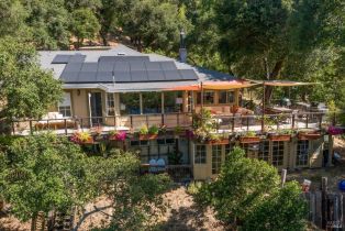 Single Family Residence,  Buena Vista avenue, Healdsburg, CA 95448 - 45