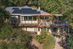 Single Family Residence,  Buena Vista avenue, Healdsburg, CA 95448 - 51