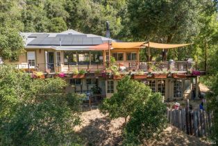 Single Family Residence,  Buena Vista avenue, Healdsburg, CA 95448 - 46