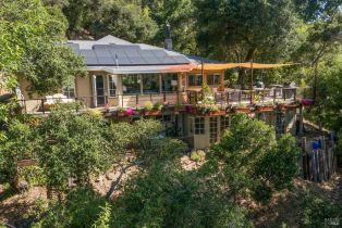 Single Family Residence,  Buena Vista avenue, Healdsburg, CA 95448 - 47