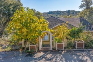 Single Family Residence,  Buena Vista avenue, Healdsburg, CA 95448 - 53