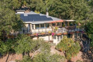 Single Family Residence,  Buena Vista avenue, Healdsburg, CA 95448 - 44