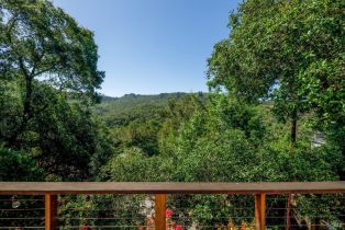 Single Family Residence,  Buena Vista avenue, Healdsburg, CA 95448 - 16