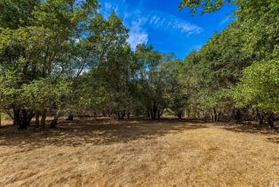 Single Family Residence,  Montecito boulevard, Napa, CA 94559 - 28