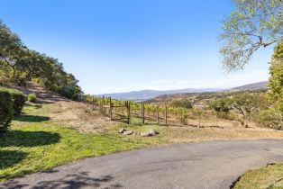 Single Family Residence, 2848 Monticello road, Napa, CA 94558 - 71