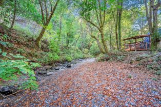 Single Family Residence,  Bohemian highway, Russian River, CA 95462 - 36