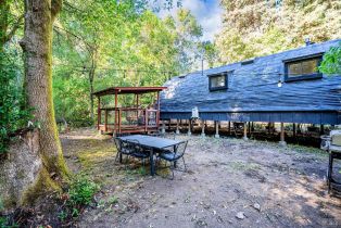 Single Family Residence,  Bohemian highway, Russian River, CA 95462 - 34