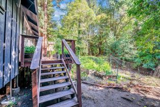 Single Family Residence,  Bohemian highway, Russian River, CA 95462 - 31