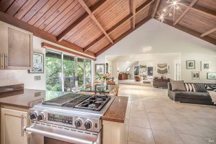 Single Family Residence,  Bohemian highway, Russian River, CA 95462 - 9