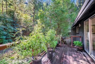 Single Family Residence,  Bohemian highway, Russian River, CA 95462 - 30