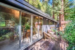 Single Family Residence,  Bohemian highway, Russian River, CA 95462 - 29