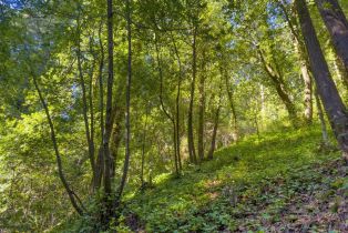 Single Family Residence,  Guernewood lane, Russian River, CA 95446 - 28