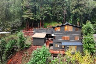 Single Family Residence,  Guernewood lane, Russian River, CA 95446 - 2