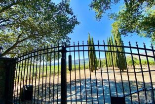 Single Family Residence,  Soda Canyon road, Napa, CA 94558 - 3