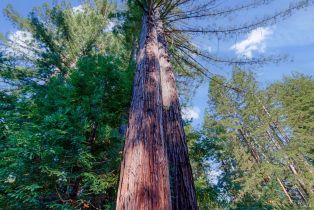 Residential Income,  Redwood lane, Russian River, CA 95446 - 20