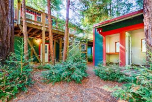 Residential Income,  Redwood lane, Russian River, CA 95446 - 2