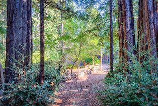 Residential Income,  Redwood lane, Russian River, CA 95446 - 49